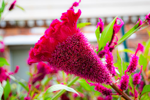 Sleepy Hollow, NY - Oct 2025